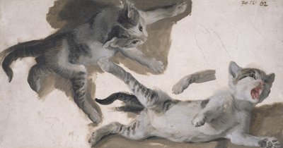 Sketches of a Kitten by Alexandre Francois Desportes